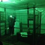 Random image: Sandyland Acres 2013